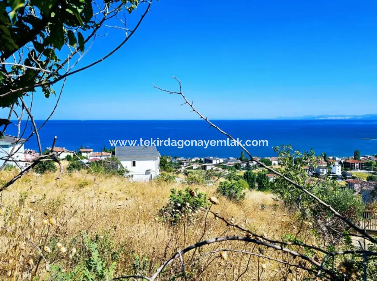 Erstaunliche Investitionsmöglichkeit Für 6 Villen Mit Meerblick In Tekirdag Süleymanpaşa Barbarossa!