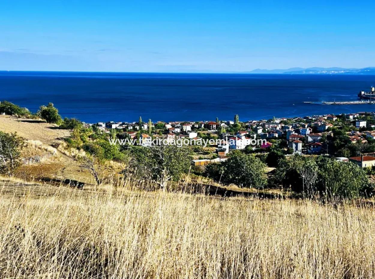 532 M2 Eckgrundstück Zum Verkauf In Tekirdag Süleymanpaşa Barbaros Nachbarschaft Mit Herrlichem Meer- Und Naturblick