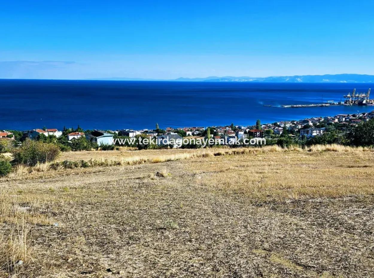 25 Wohnungen Mit Vollem Meerblick Gutscheinplatz Zum Dringenden Verkauf In Tekirdag Barbarosta