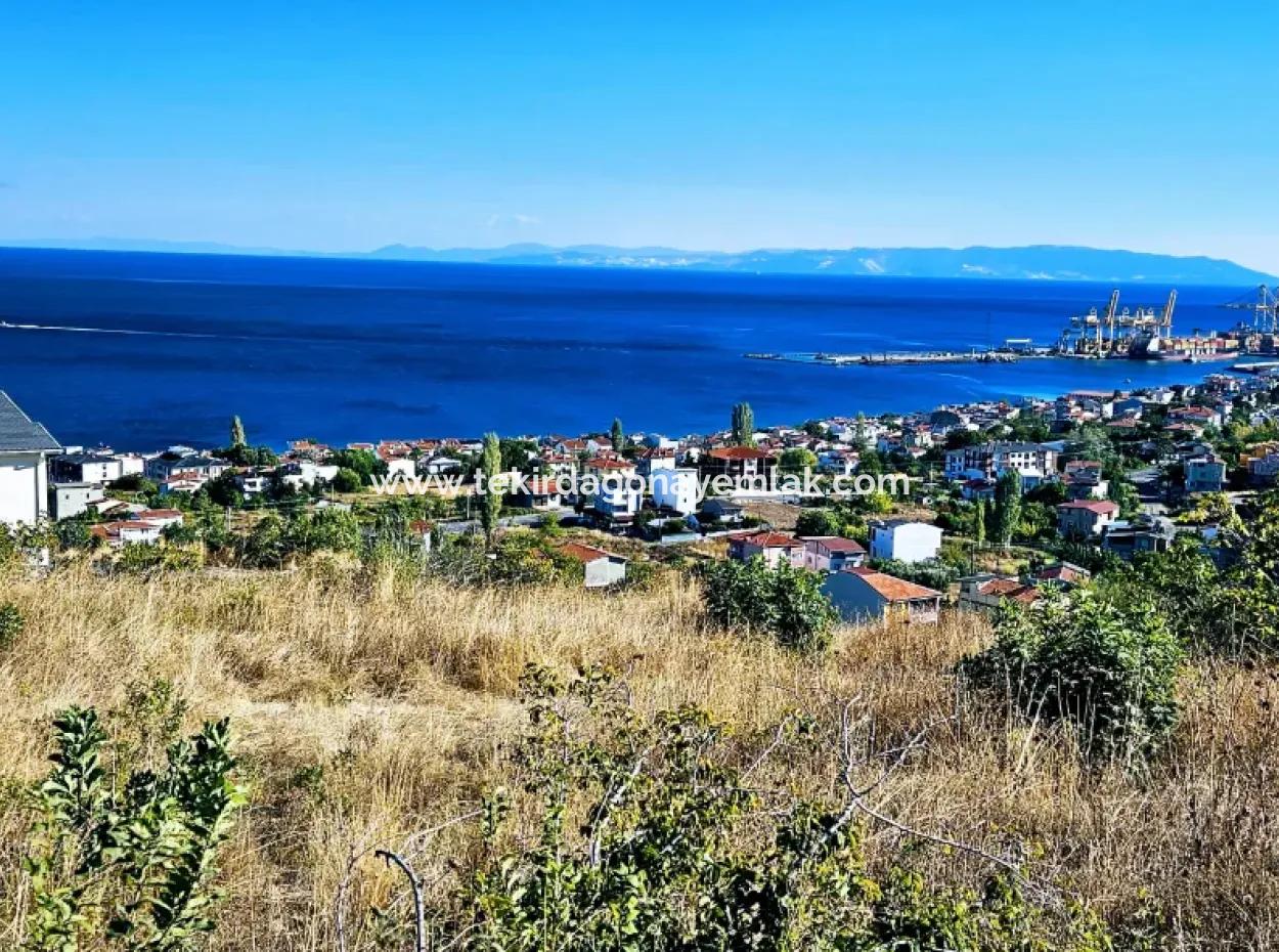 25 Wohnungen Mit Vollem Meerblick Gutscheinplatz Zum Dringenden Verkauf In Tekirdag Barbarosta