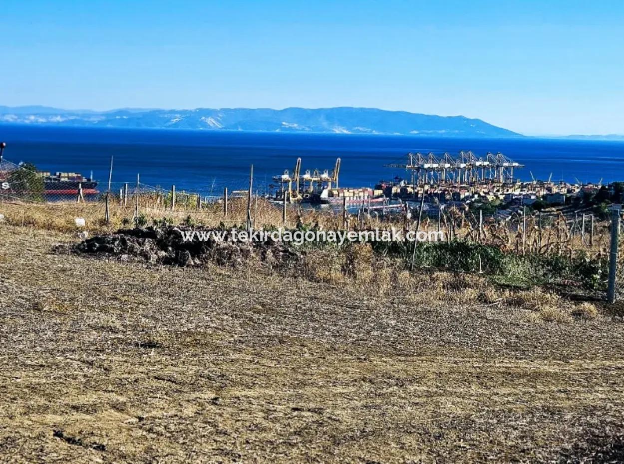 765 M2 Schnäppchengrundstück Mit Vollem Meerblick Zum Dringenden Verkauf In Tekirdag Barbarosta