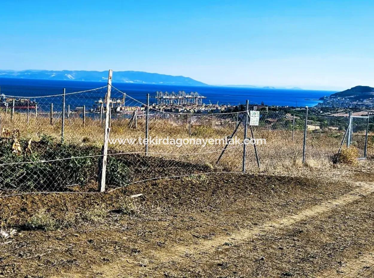 765 M2 Schnäppchengrundstück Mit Vollem Meerblick Zum Dringenden Verkauf In Tekirdag Barbarosta