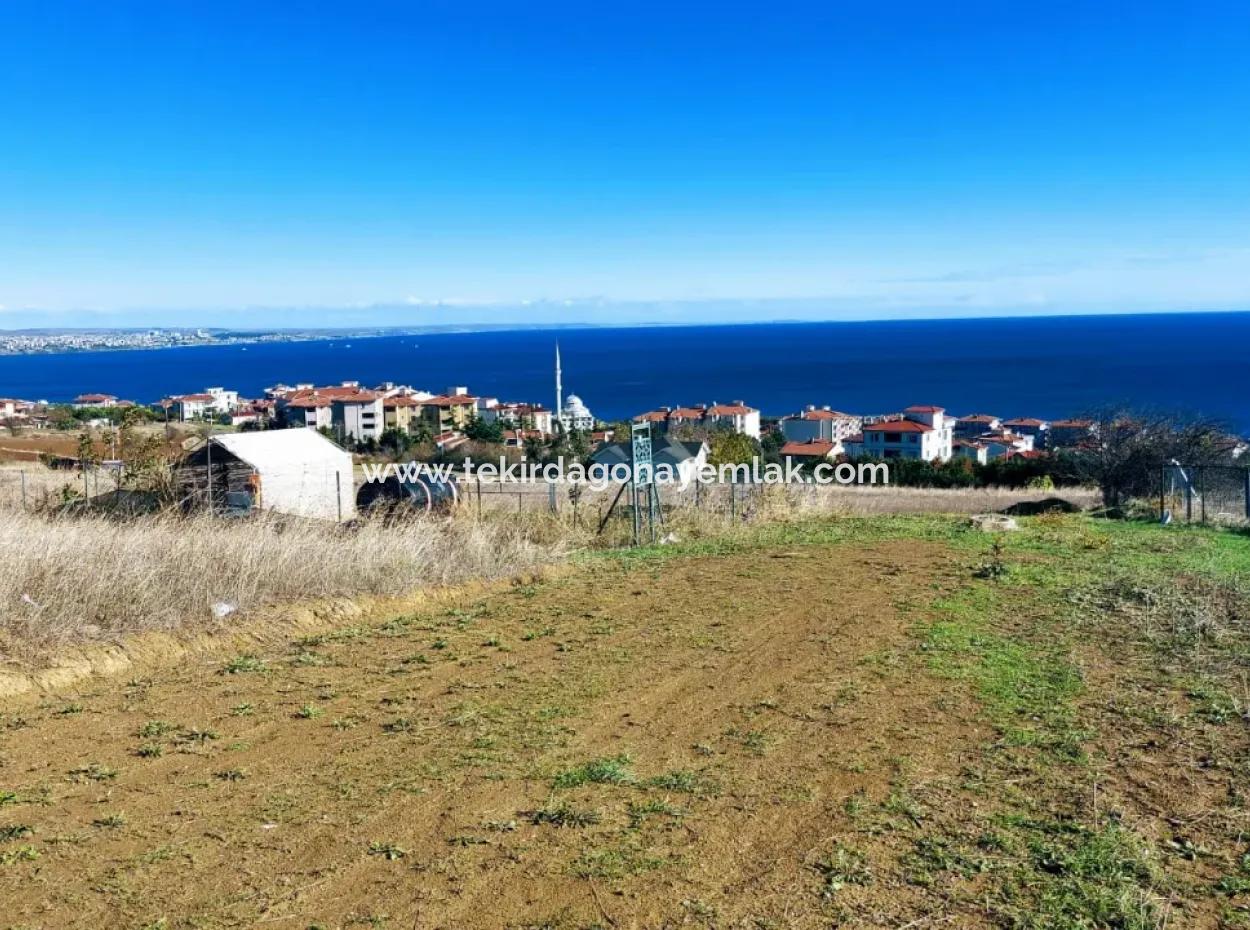 45 Wohnungen Mit Vollem Meerblick Wohngrundstück Zum Dringenden Verkauf Tekirdag Barbarosta