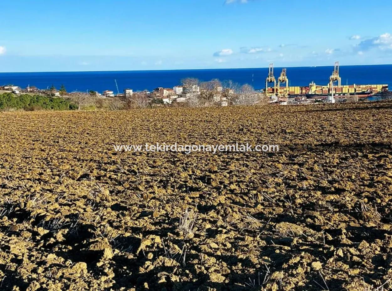 18 100 M2 Wohngebiet Ganz In Der Nähe Des Hafens Tekirdağ Barbaros Asyaport