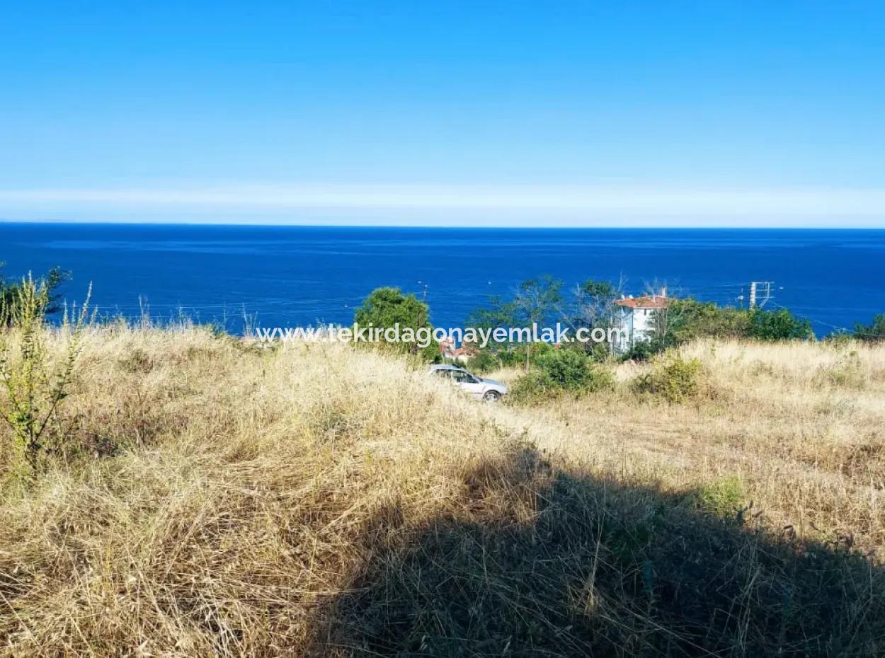 590 M2 Grundstück Mit Vollem Meerblick In Tekirdag Barbarossa, Geeignet Für 3 Villen!