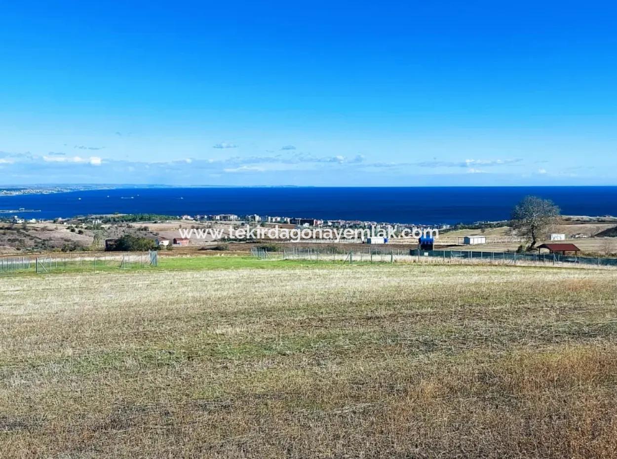 15.500 M2 Villa Mit Meerblick Zum Dringenden Verkauf In Der Nachbarschaft Tekirdag Topağaç