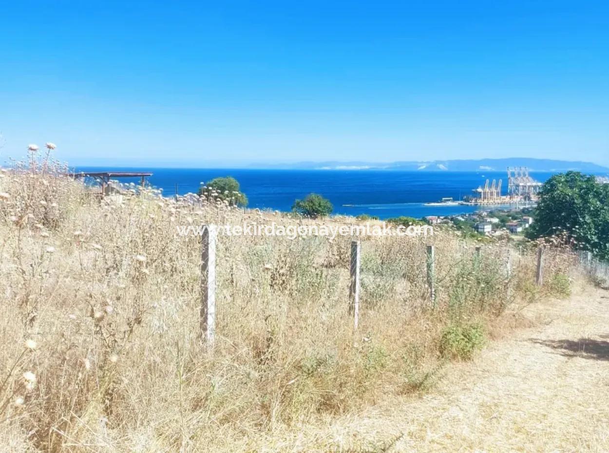 765 M2 Schnäppchengrundstück Mit Vollem Meerblick Zum Dringenden Verkauf In Tekirdag Barbarosta