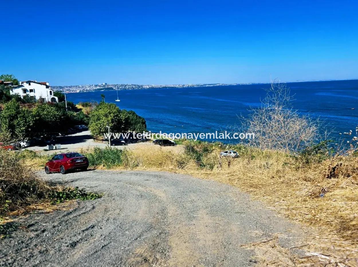 Gutschein Grundstück Geeignet Für Den Bau Ihrer Freistehenden Villa Am Meer In Tekirdag Barbarosta