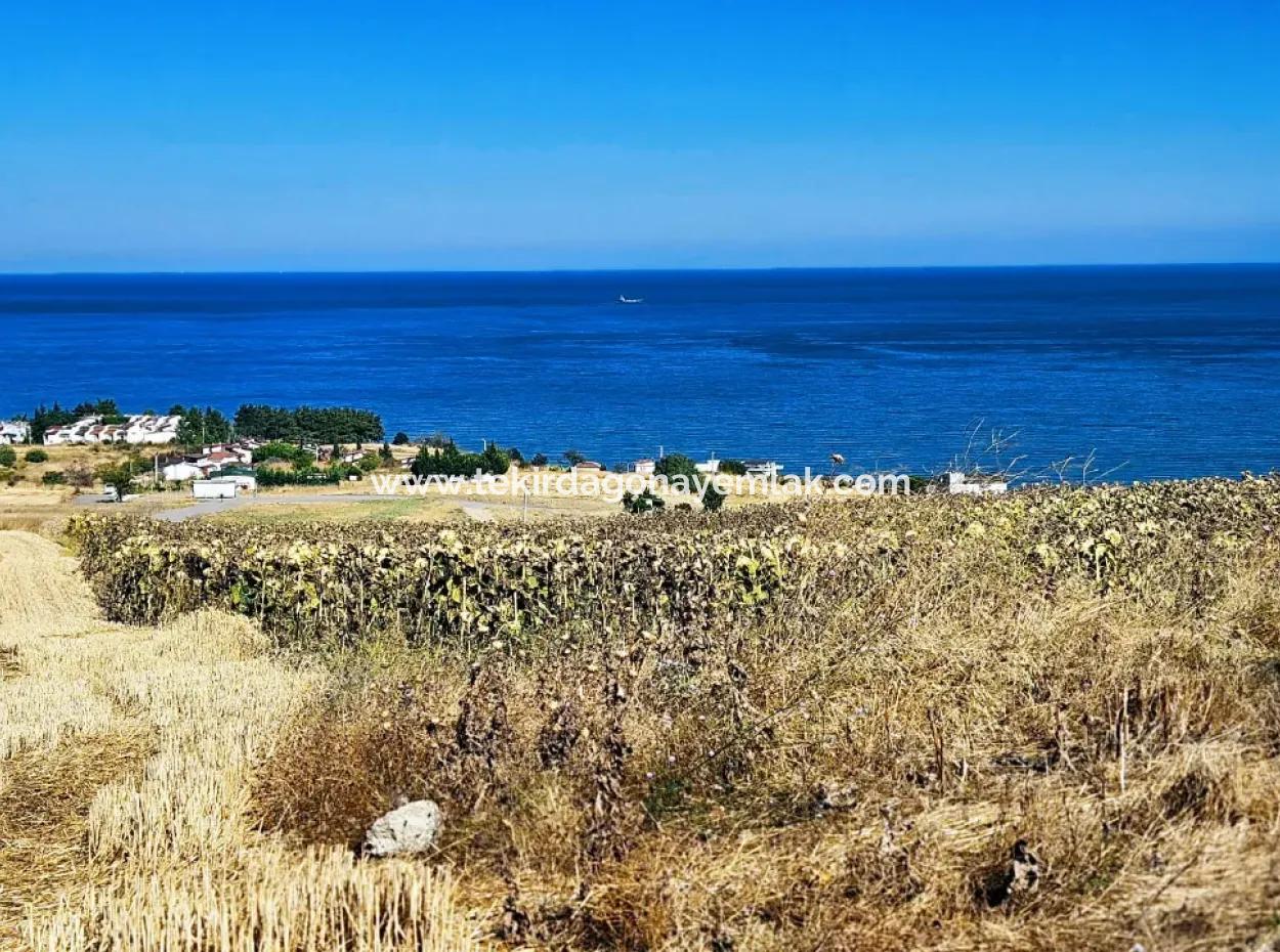 Coupon Grundstück Zum Dringenden Verkauf, Geeignet Für Den Bau Eines Einfamilienhauses In Tekirdag Barbarosta