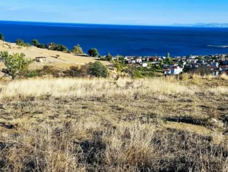 532 M2 Eckgrundstück Zum Verkauf In Tekirdag Süleymanpaşa Barbaros Nachbarschaft Mit Herrlichem Meer- Und Naturblick