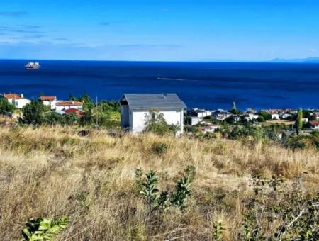 25 Wohnungen Mit Vollem Meerblick Gutscheinplatz Zum Dringenden Verkauf In Tekirdag Barbarosta