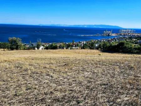 25 Wohnungen Mit Vollem Meerblick Gutscheinplatz Zum Dringenden Verkauf In Tekirdag Barbarosta