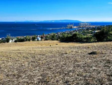 25 Wohnungen Mit Vollem Meerblick Gutscheinplatz Zum Dringenden Verkauf In Tekirdag Barbarosta