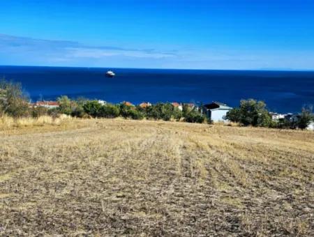 25 Wohnungen Mit Vollem Meerblick Gutscheinplatz Zum Dringenden Verkauf In Tekirdag Barbarosta