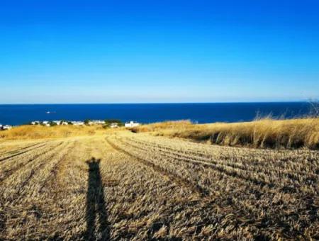 1.750 M2 Schnäppchen-Eckgrundstück Mit Vollem Meerblick Zum Dringenden Verkauf In Tekirdag Barbarosta