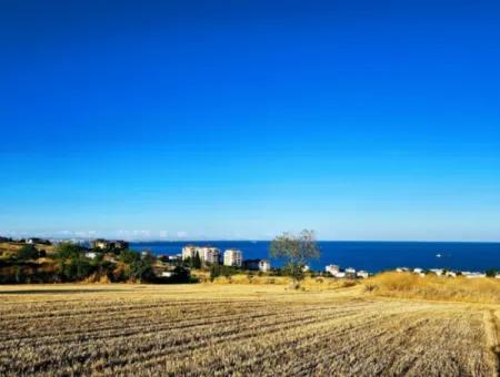 1.750 M2 Schnäppchen-Eckgrundstück Mit Vollem Meerblick Zum Dringenden Verkauf In Tekirdag Barbarosta