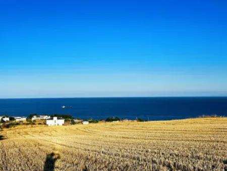 1.750 M2 Schnäppchen-Eckgrundstück Mit Vollem Meerblick Zum Dringenden Verkauf In Tekirdag Barbarosta