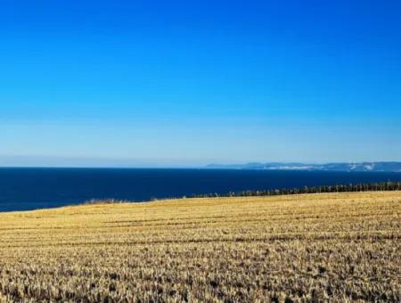 1.750 M2 Schnäppchen-Eckgrundstück Mit Vollem Meerblick Zum Dringenden Verkauf In Tekirdag Barbarosta