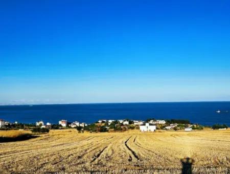 1.750 M2 Schnäppchen-Eckgrundstück Mit Vollem Meerblick Zum Dringenden Verkauf In Tekirdag Barbarosta