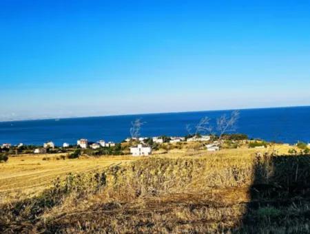 1.750 M2 Schnäppchen-Eckgrundstück Mit Vollem Meerblick Zum Dringenden Verkauf In Tekirdag Barbarosta