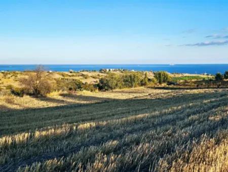 Der Hafen Von Asyaport Ist Ein Land Mit Hoher Gewinngarantie Für Seine Investoren Im Rahmen Des Aktuellen Flächennutzungsplans