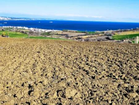 6.400 M2 Villa Zoniertes Grundstück Mit Vollem Meerblick Villa Zum Dringenden Verkauf In Tekirdag Barbarosta