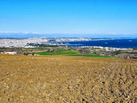 6.400 M2 Villa Zoniertes Grundstück Mit Vollem Meerblick Villa Zum Dringenden Verkauf In Tekirdag Barbarosta