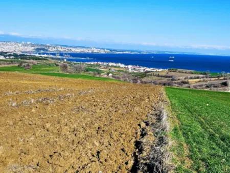 6.400 M2 Villa Zoniertes Grundstück Mit Vollem Meerblick Villa Zum Dringenden Verkauf In Tekirdag Barbarosta