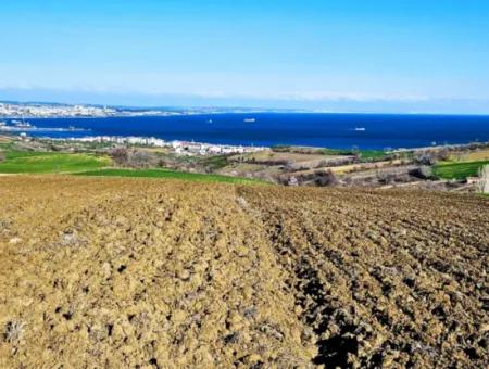 6.400 M2 Villa Zoniertes Grundstück Mit Vollem Meerblick Villa Zum Dringenden Verkauf In Tekirdag Barbarosta