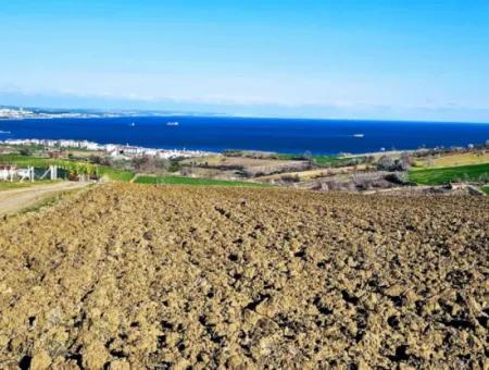 6.400 M2 Villa Zoniertes Grundstück Mit Vollem Meerblick Villa Zum Dringenden Verkauf In Tekirdag Barbarosta