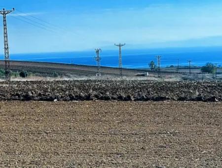 5.400 M2 Hoher Gewinn Garantierte Gelegenheit Platz Im Bereich Der Fabriken Für Den Dringenden Verkauf