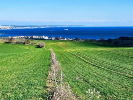 35.000 M2 Grosses Villengrundstück Mit Vollem Meerblick Zum Dringenden Verkauf In Tekirdag Barbarosta