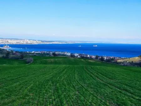 35.000 M2 Grosses Villengrundstück Mit Vollem Meerblick Zum Dringenden Verkauf In Tekirdag Barbarosta