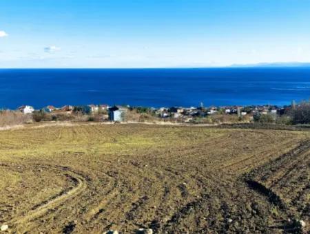 Wohngrundstück Mit Vollem Meerblick, Geeignet Für Den Bau Eines Genossenschaftsstandorts Mit 42 Wohnungen Zum Dringenden Verkauf In Tekirdag Barbarosta