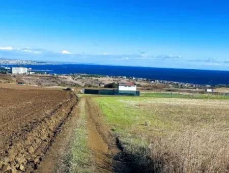 15.000 M2 Villengrundstück Zum Dringenden Verkauf In Tekirdag Barbarosta