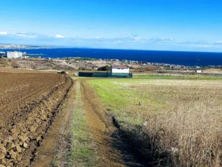 15.000 M2 Villengrundstück Zum Dringenden Verkauf In Tekirdag Barbarosta