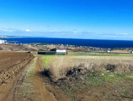 15.000 M2 Villengrundstück Zum Dringenden Verkauf In Tekirdag Barbarosta