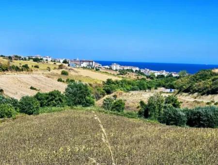 9.100 M2 Dringender Verkauf In Tekirdag Barbarosta, Egal Ob Sie Ein Grundstück Machen Oder Eine Villa Bauen Möchten Hohe Gewinngarantie