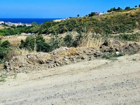 9.100 M2 Dringender Verkauf In Tekirdag Barbarosta, Egal Ob Sie Ein Grundstück Machen Oder Eine Villa Bauen Möchten Hohe Gewinngarantie