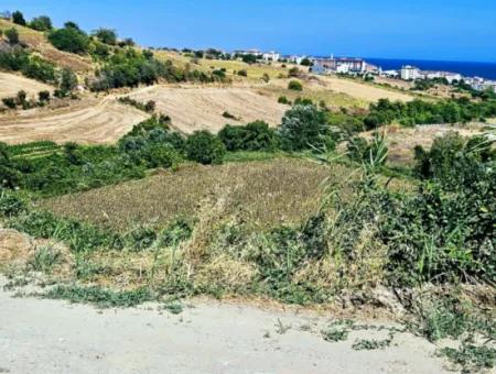 9.100 M2 Dringender Verkauf In Tekirdag Barbarosta, Egal Ob Sie Ein Grundstück Machen Oder Eine Villa Bauen Möchten Hohe Gewinngarantie