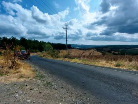 13.970 M2 Investitionsmöglichkeit Mit 5 Separaten Eigentumsurkunden Im Viertel Tekirdağ Malkara Sırtbey