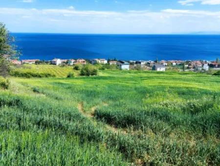 Tekirdag Barbarosta 42 Wohnungen Zum Dringenden Verkauf Genossenschaft Und Geeigneter Ort Für Den Bau Der Baustelle