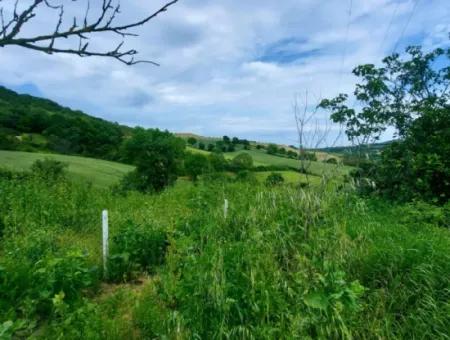 2.820 M2 Gutscheinplatz Geeignet, Um Tiny House In Der Natur Zum Dringenden Verkauf Im Viertel Tekirdağ Avşar Zu Platzieren