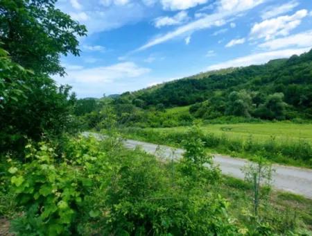 2.820 M2 Gutscheinplatz Geeignet, Um Tiny House In Der Natur Zum Dringenden Verkauf Im Viertel Tekirdağ Avşar Zu Platzieren