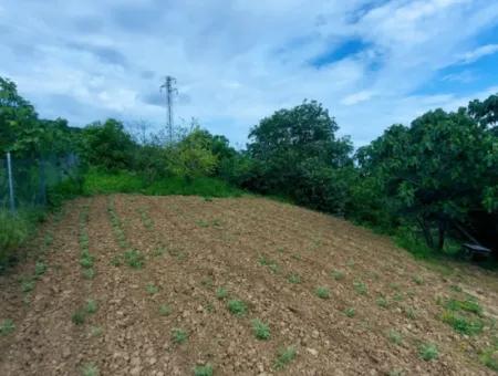 2.820 M2 Gutscheinplatz Geeignet, Um Tiny House In Der Natur Zum Dringenden Verkauf Im Viertel Tekirdağ Avşar Zu Platzieren