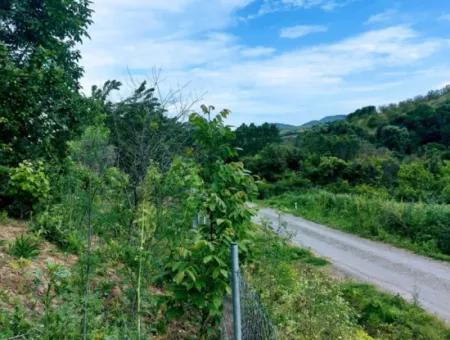 Gutscheinplatz Geeignet Für Den Dringenden Verkauf Von 580 M2 Tiny House Im Herzen Der Natur In Tekirdag Avşarda