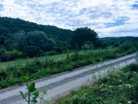 Gutscheinplatz Geeignet Für Den Dringenden Verkauf Von 580 M2 Tiny House Im Herzen Der Natur In Tekirdag Avşarda