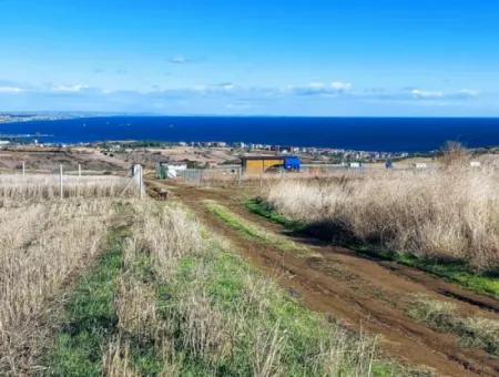 Dringender Verkauf In Barbarosta, Tekirdag, 15.000 M2 Villa Zoniertes Feld!