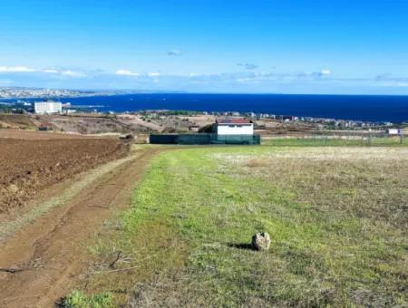 Dringender Verkauf In Barbarosta, Tekirdag, 15.000 M2 Villa Zoniertes Feld!