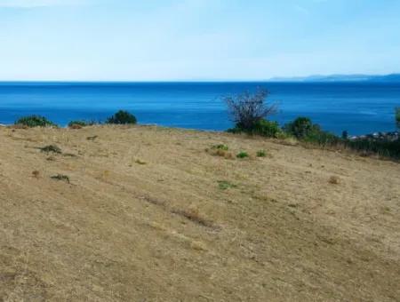 Gutschein Grundstück Zum Dringenden Verkauf Geeignet Für Den Bau Ihres Einfamilienhauses Mit Herrlichem Meerblick In Tekirdag Barbarosta